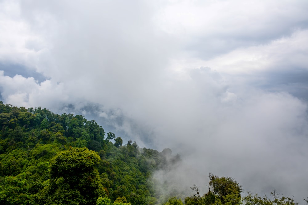 aerial photography of foggy mountain