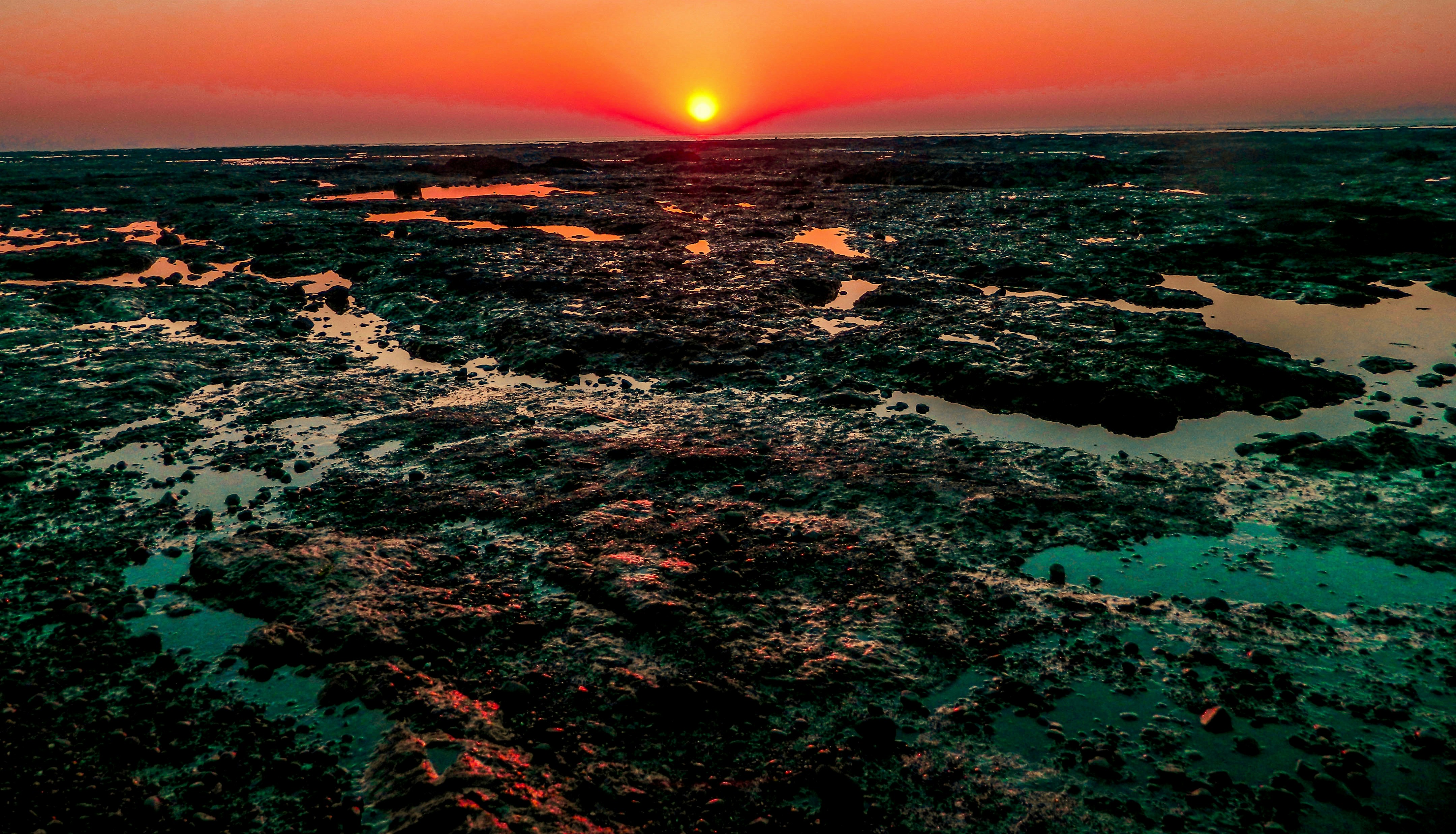 Free Unsplash photo from Swapnil Saraf