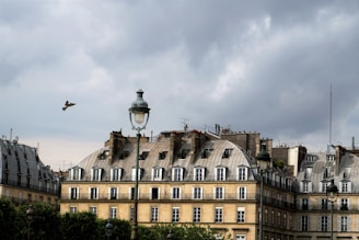 A row of classic Parisian buildings with mansard roofs under a cloudy sky. A bird is flying mid-air while a vintage street lamp stands prominently in the foreground. The architecture is characterized by dormer windows and wrought-iron railings.