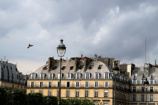 A row of classic Parisian buildings with mansard roofs under a cloudy sky. A bird is flying mid-air while a vintage street lamp stands prominently in the foreground. The architecture is characterized by dormer windows and wrought-iron railings.
