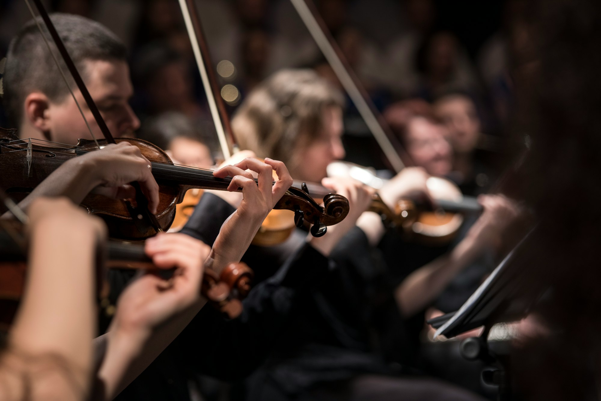 String quartet in Oradea