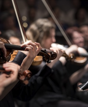 people playing violin inside dim room