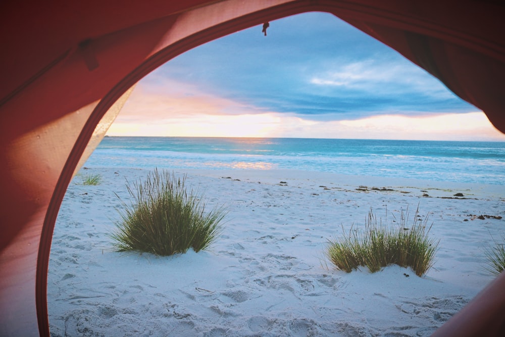 pink tent near white sand near sea