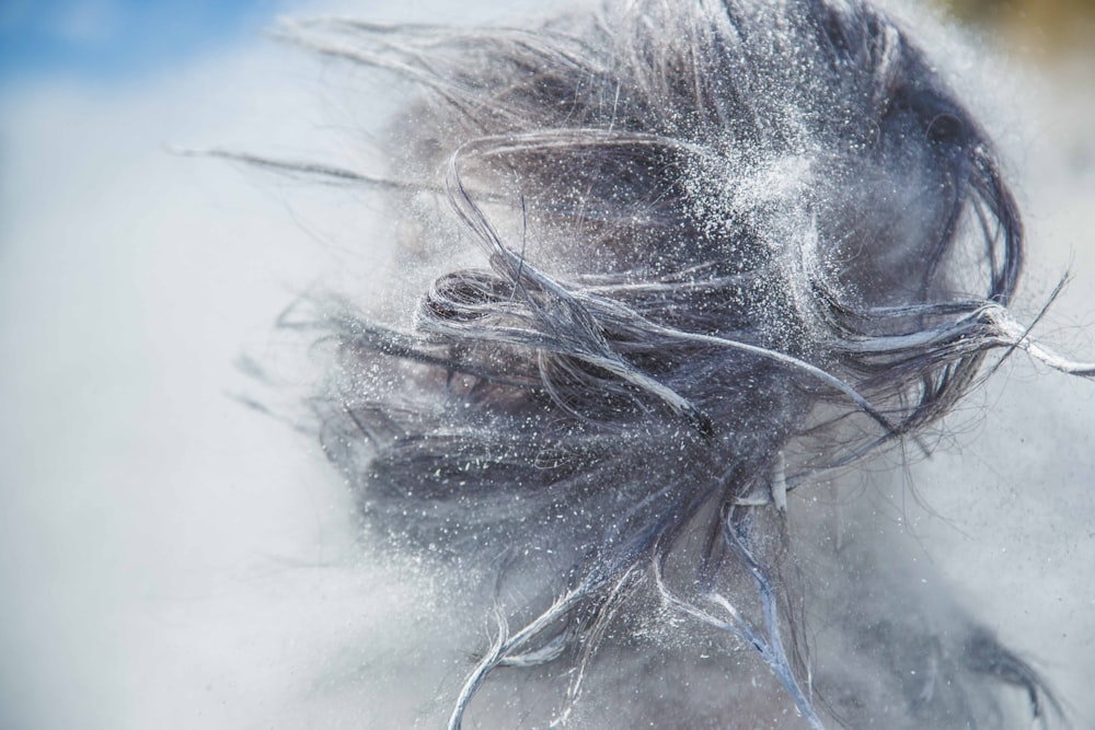 Photographie de cheveux à mise au point peu profonde