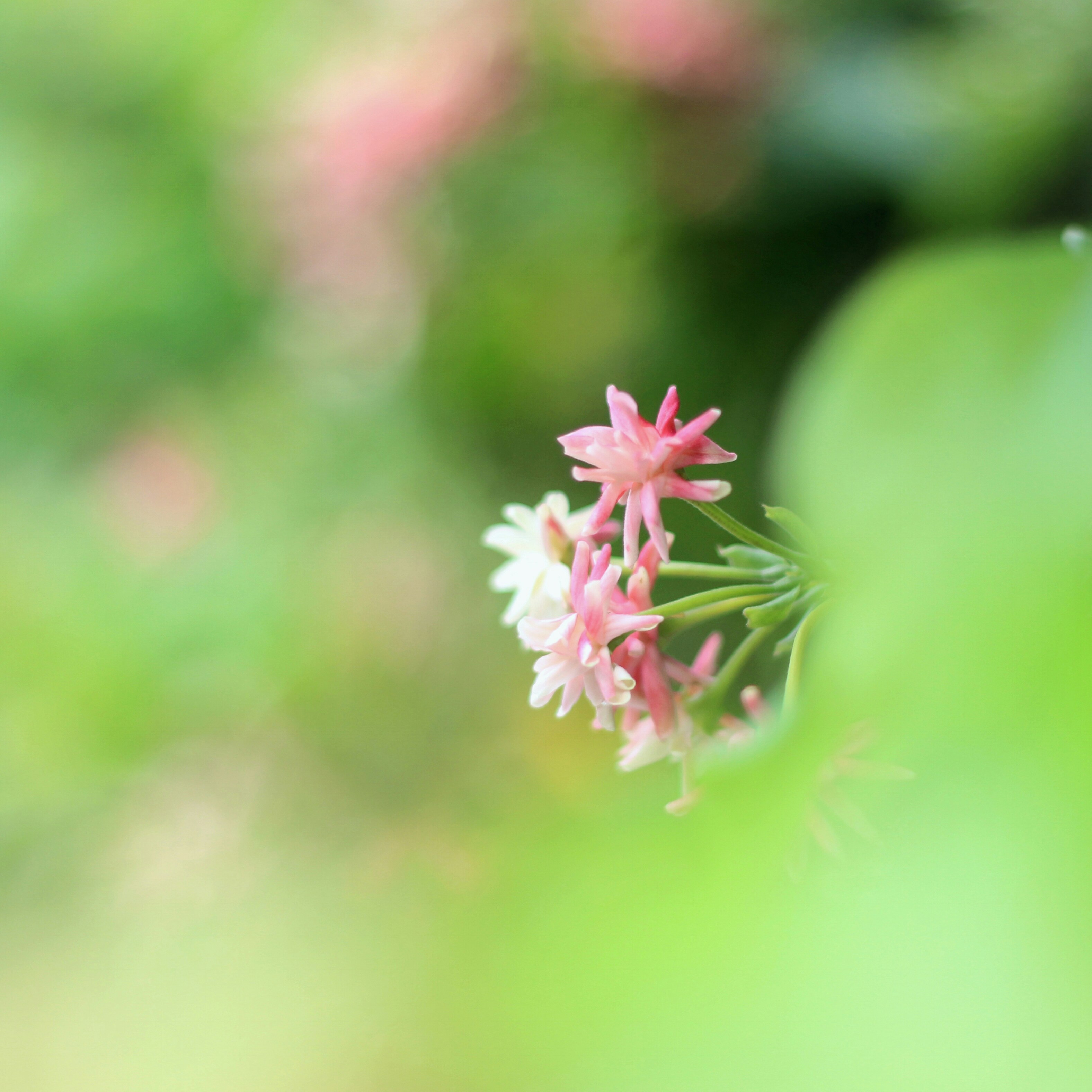 Free Unsplash photo from Bean Kanokporn