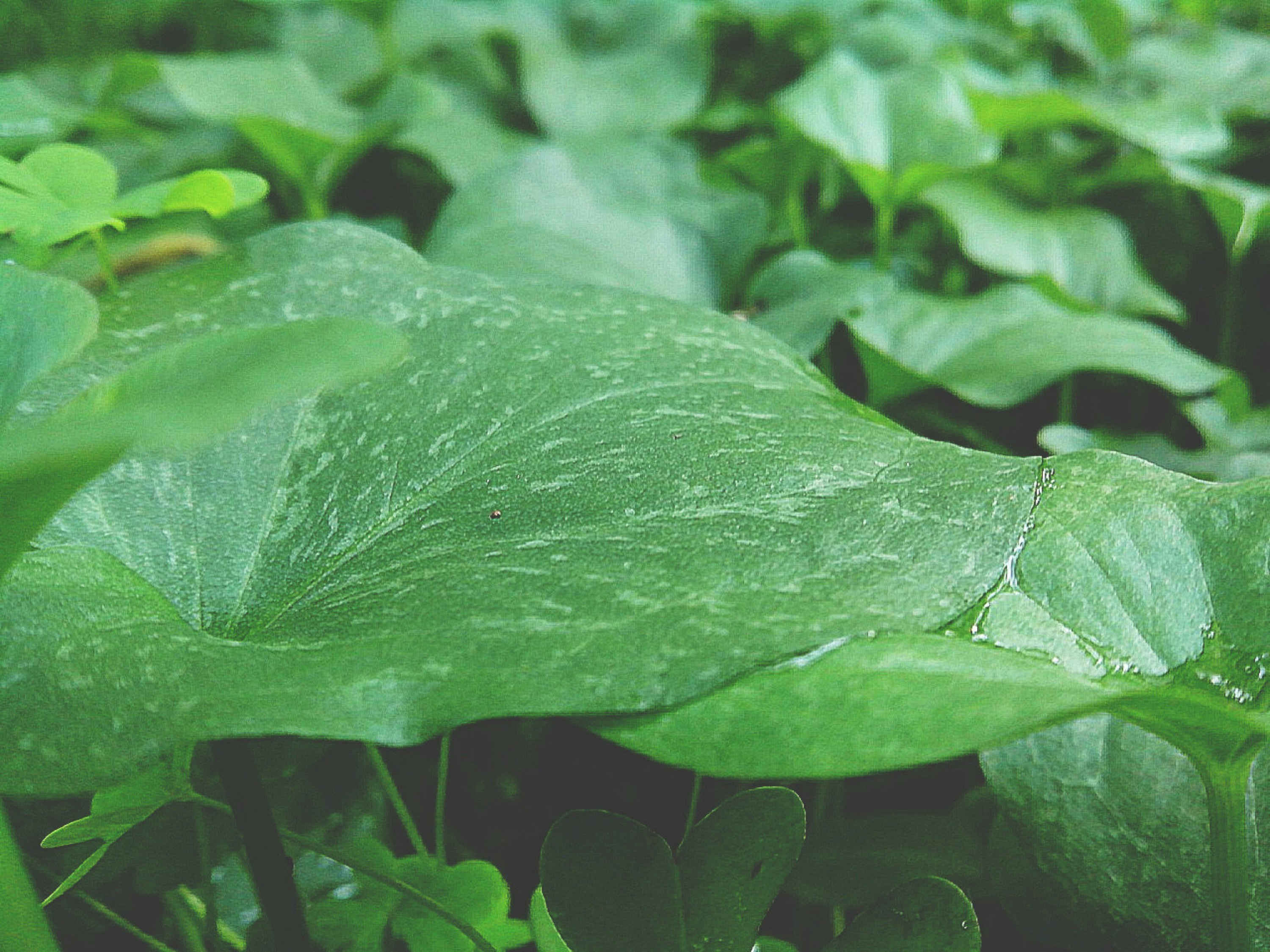 Free Unsplash photo from Marcelo Bagarrao