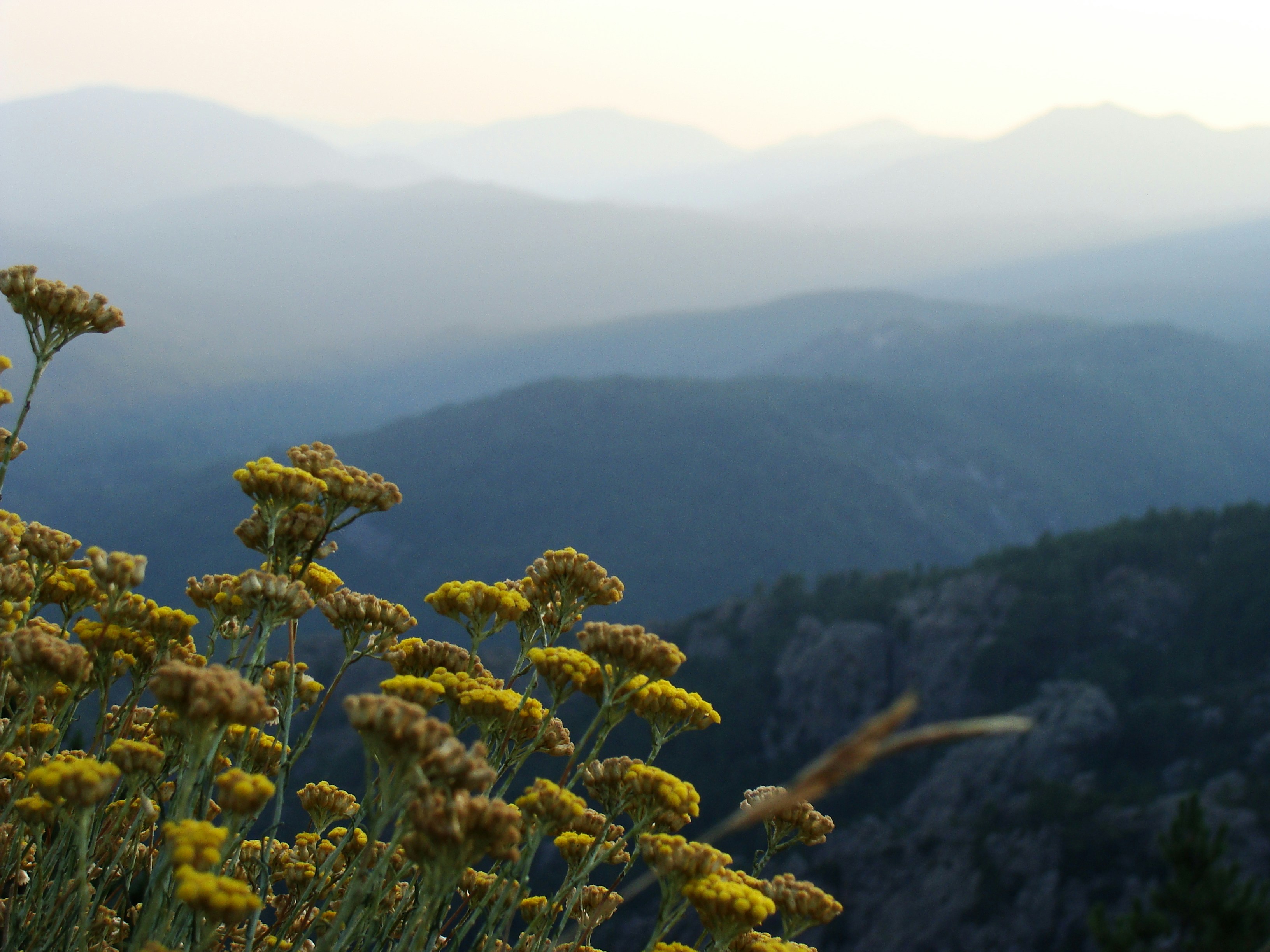 Free Unsplash photo from Anabela CASABIANCA