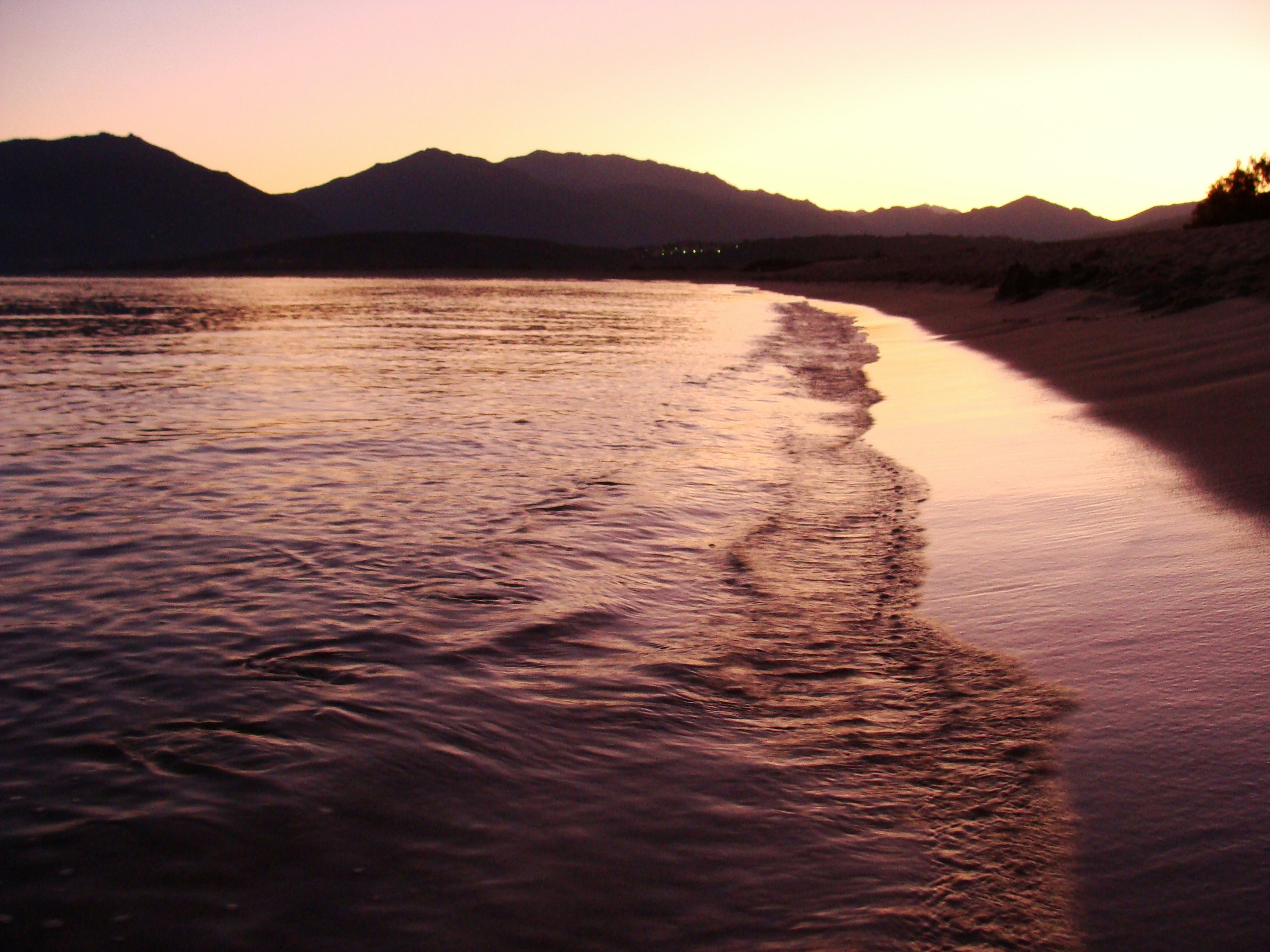 Free Unsplash photo from Anabela CASABIANCA