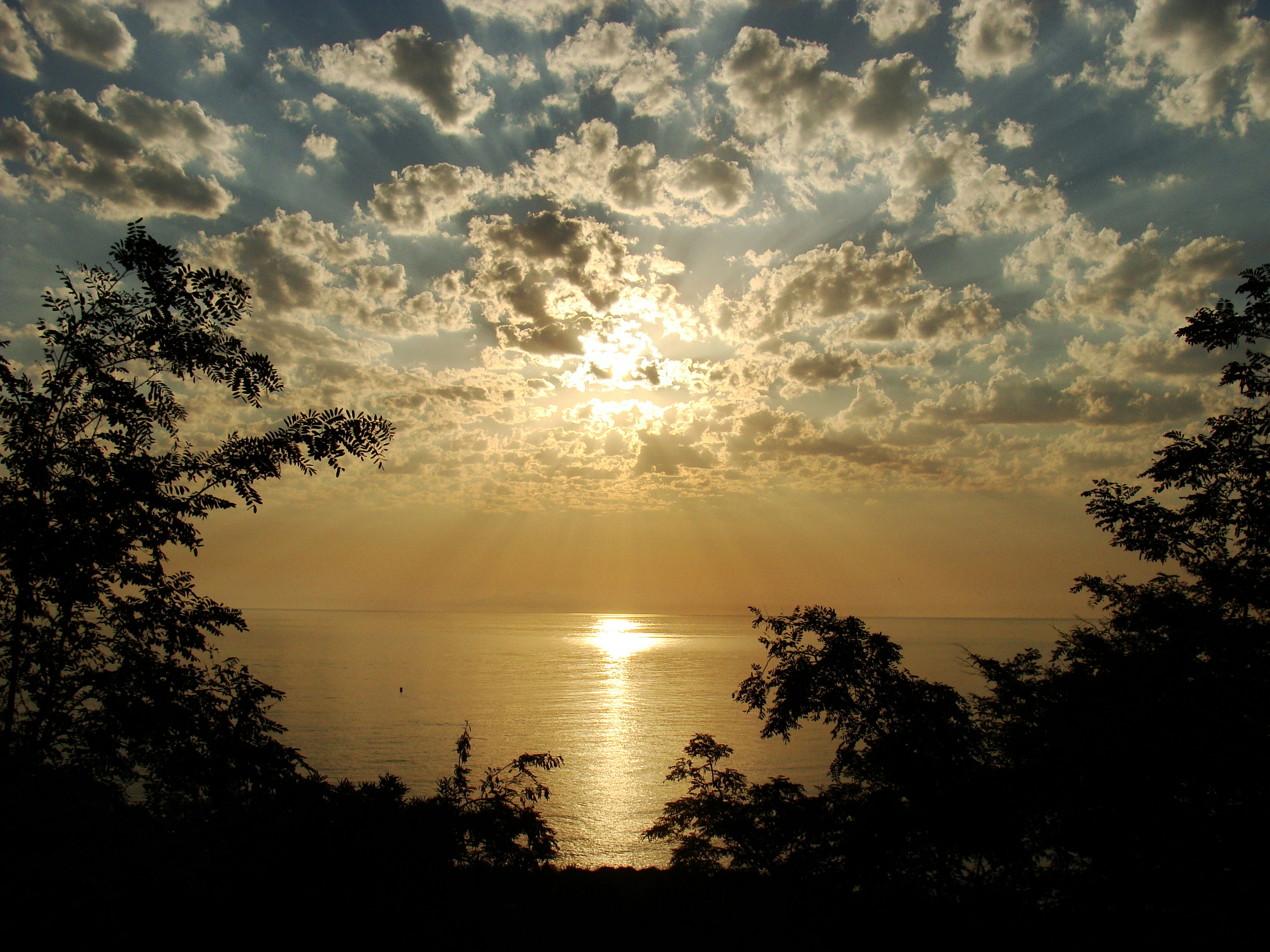 Free Unsplash photo from Anabela CASABIANCA