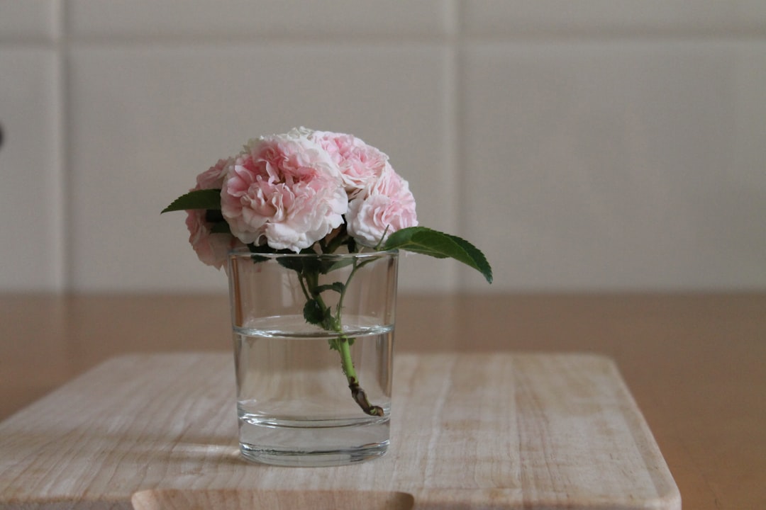 Как спасти розы в вазе. Цветы в прозрачной вазе. Цветы в стакане. Пионы в вазе. Пионы в прозрачной вазе.