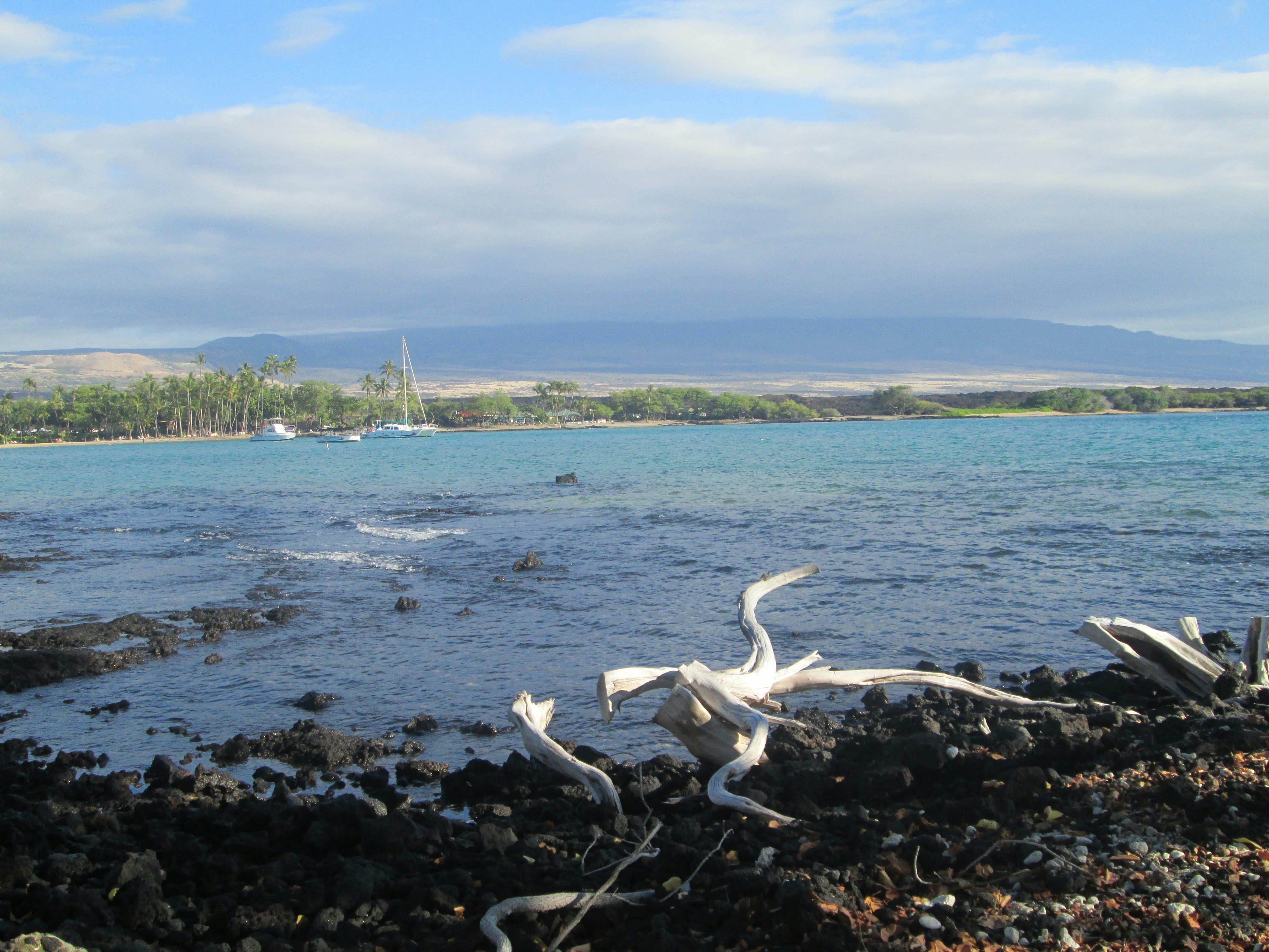 Free Unsplash photo from Lora Wegman