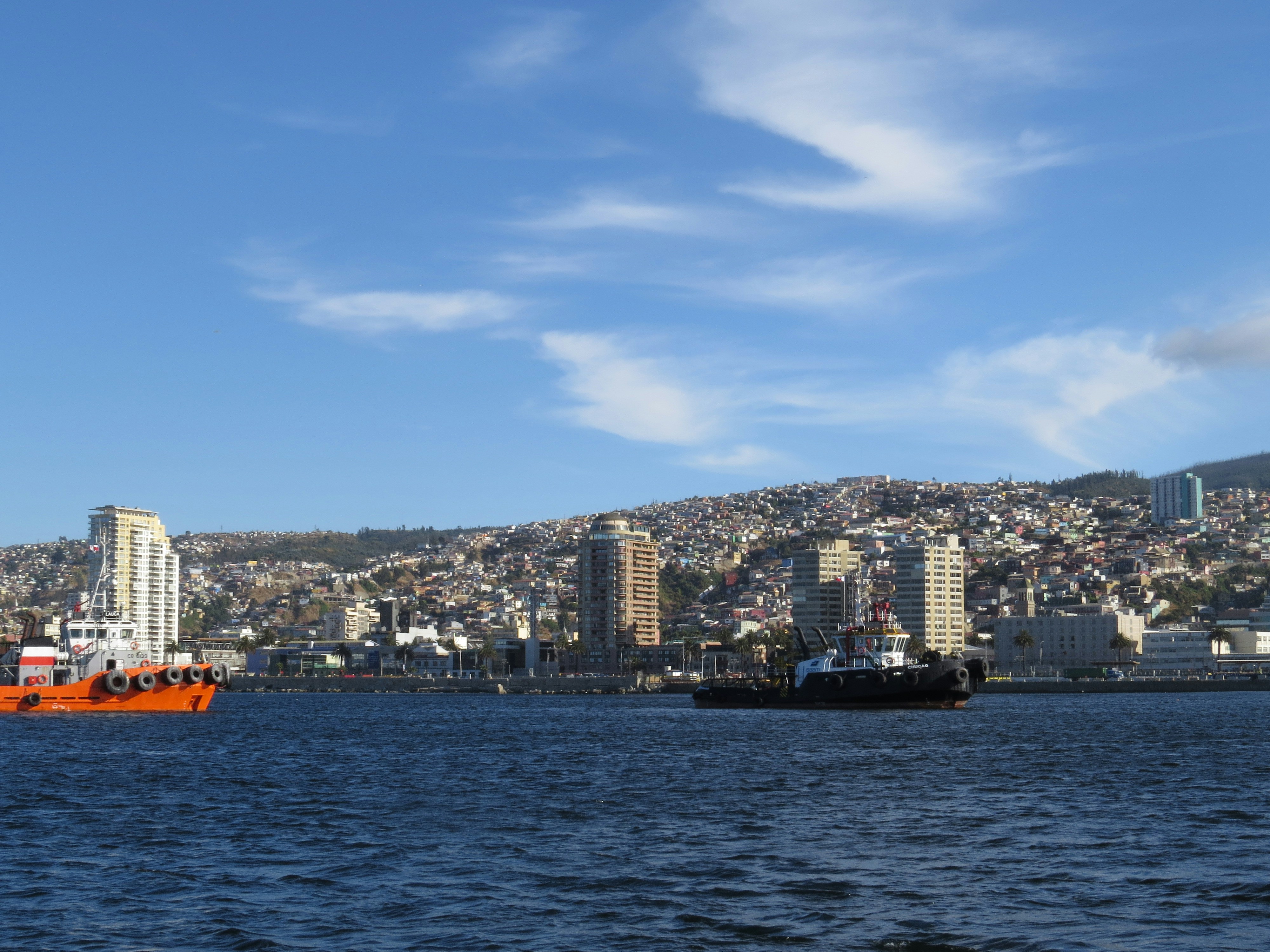 Free Unsplash photo from Yanina García Carrera