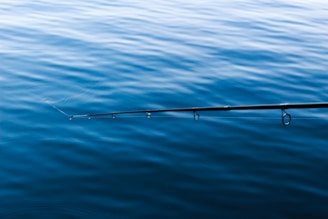 A calm fishing spot by a quiet river, perfect for first-time anglers.