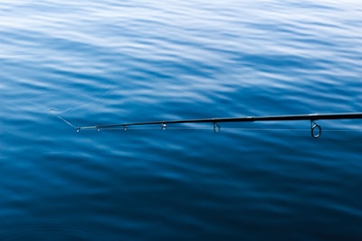 A calm fishing spot by a quiet river, perfect for first-time anglers.