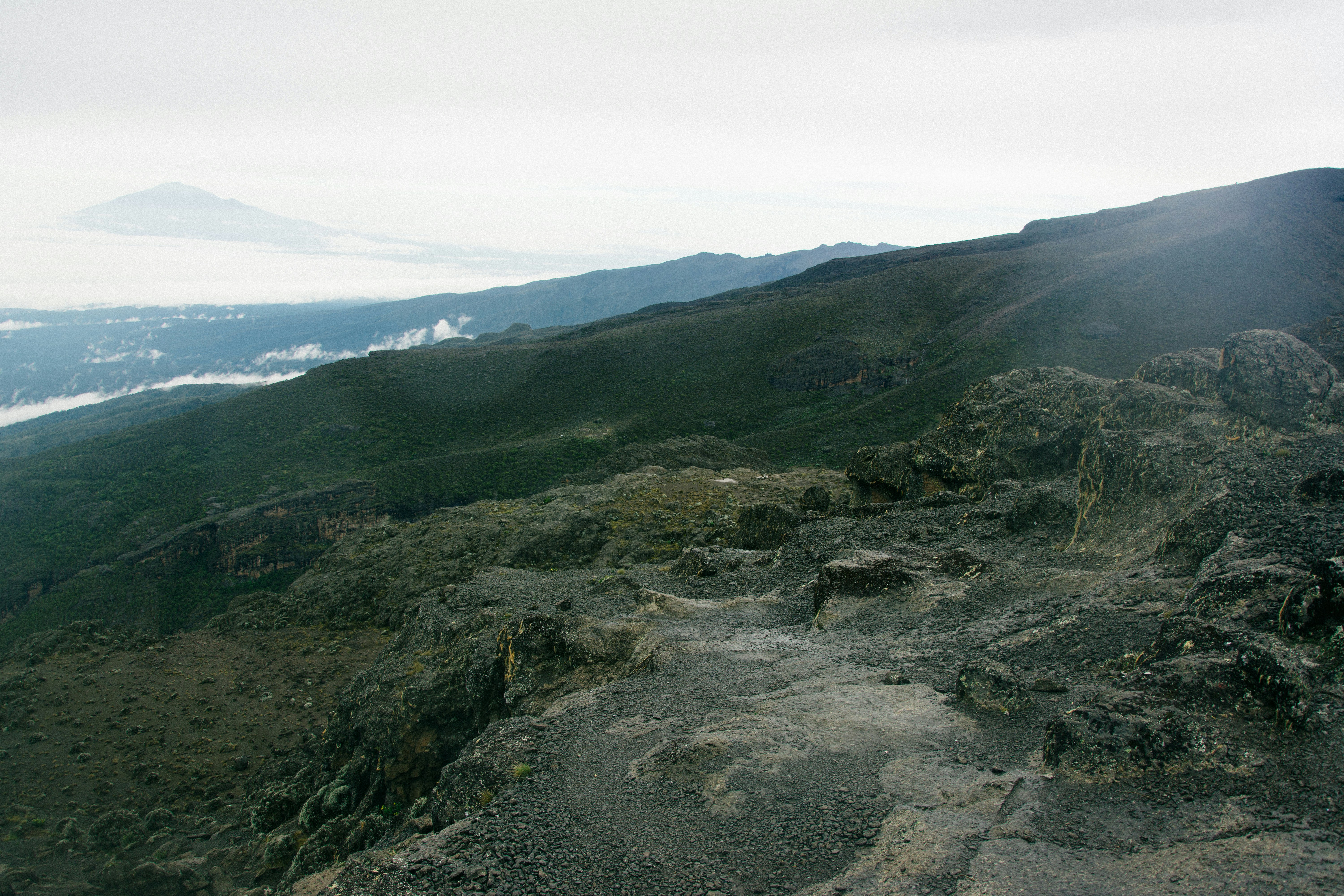 Free Unsplash photo from Joel Peel