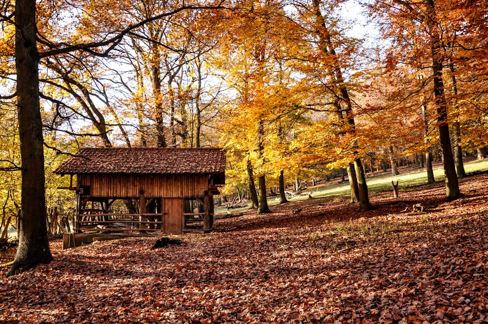 brown house surrounded by trees