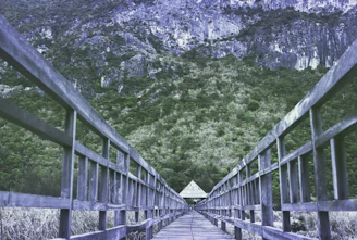 A guided trek winding through lush forest trails near the remote kuti village.