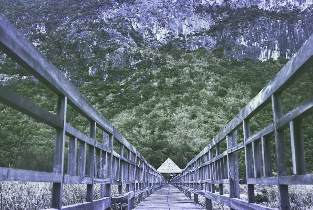 brown wooden dock and gray wooden handrails under green tree