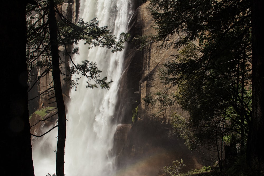 waterfalls beside mountain and trees