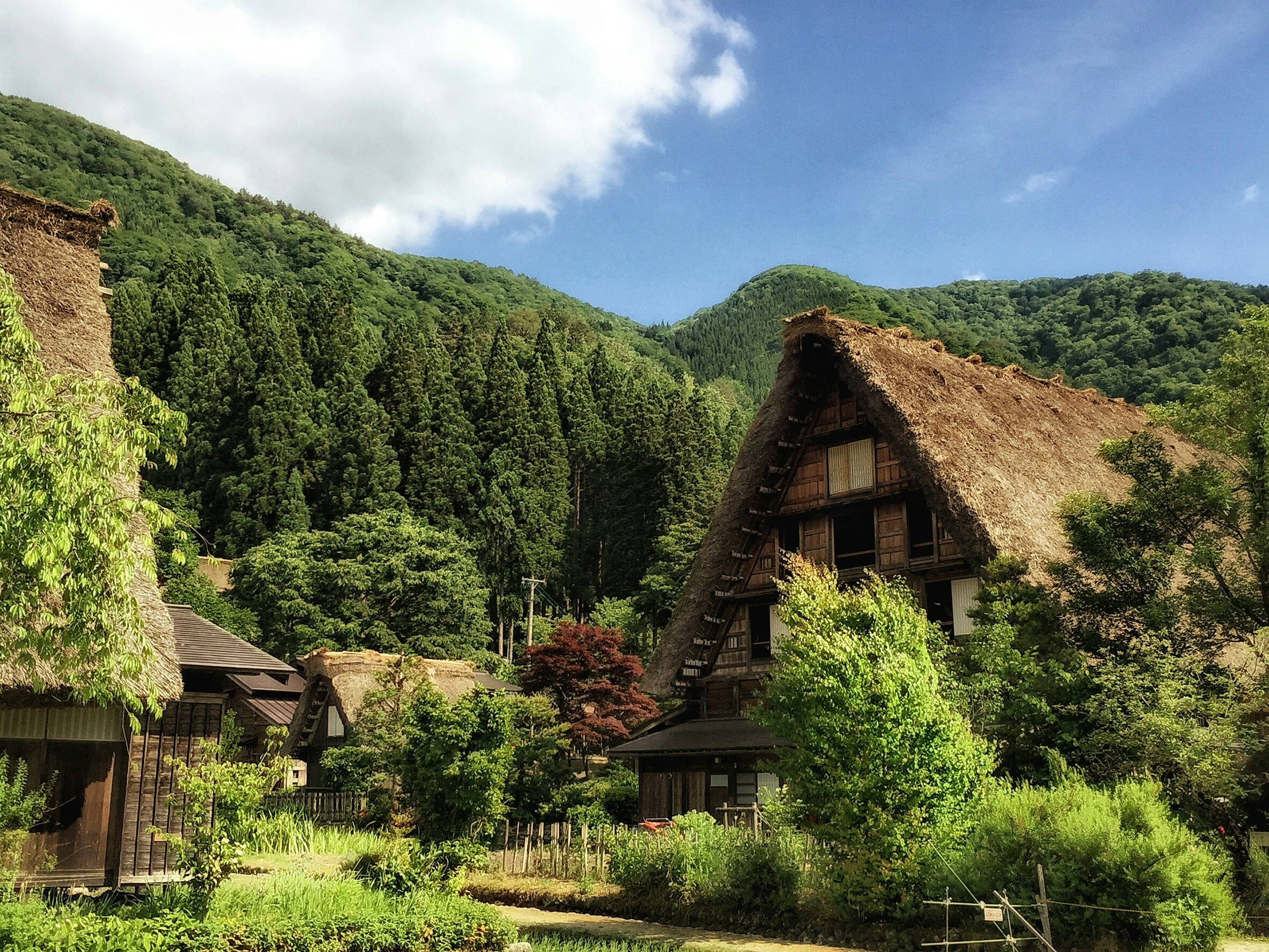 Free Unsplash photo from Teri Lai