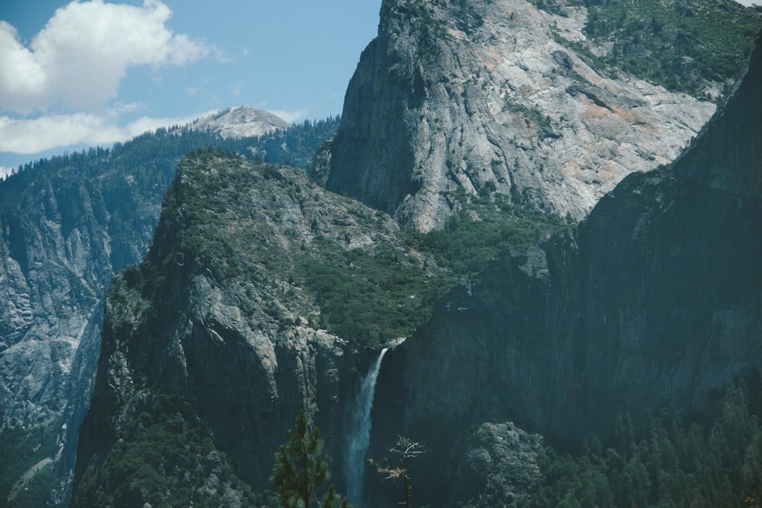 bird's eye photography of mountain covered trees