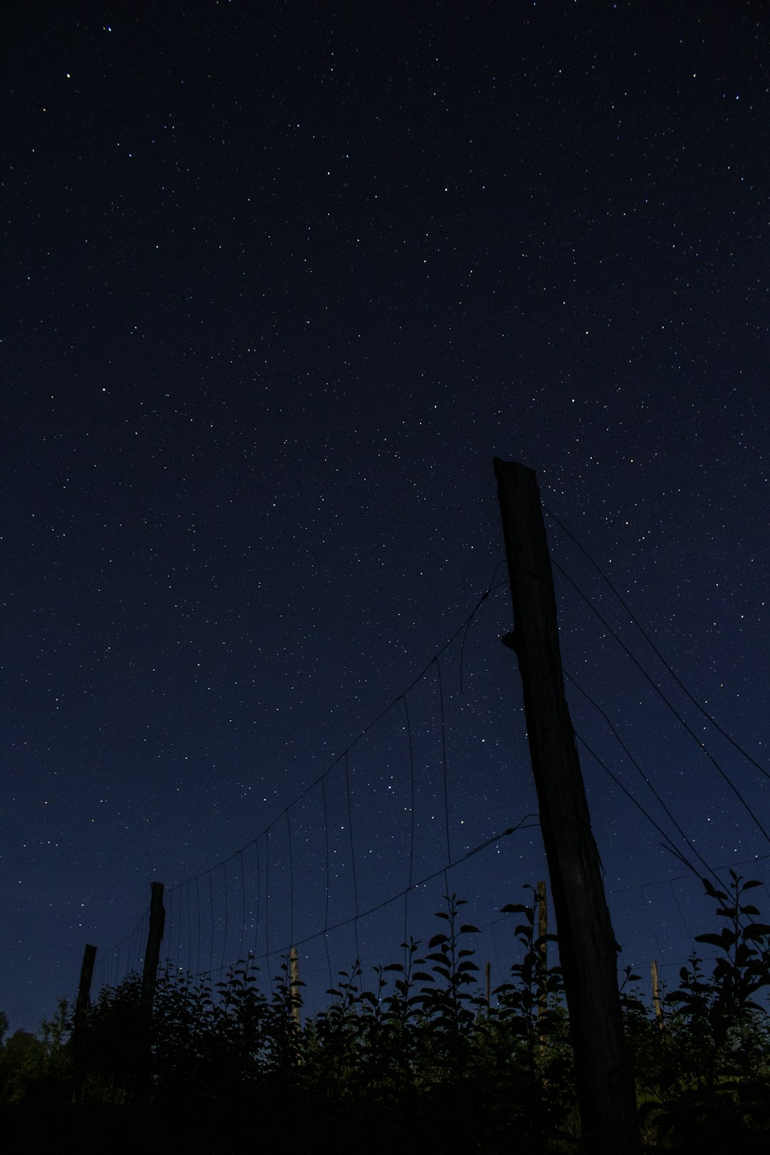 brown fence under blue sky