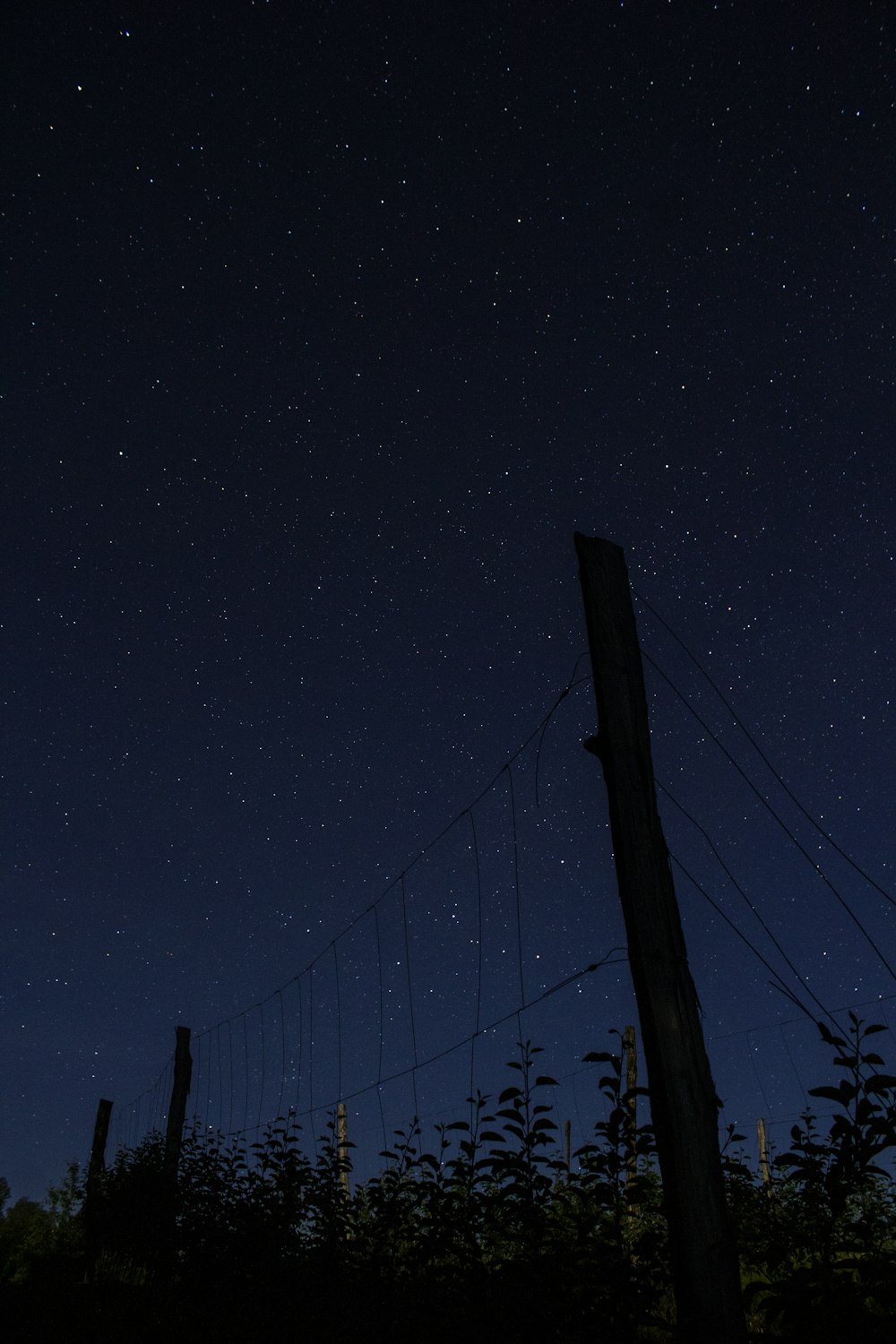 brown fence under blue sky