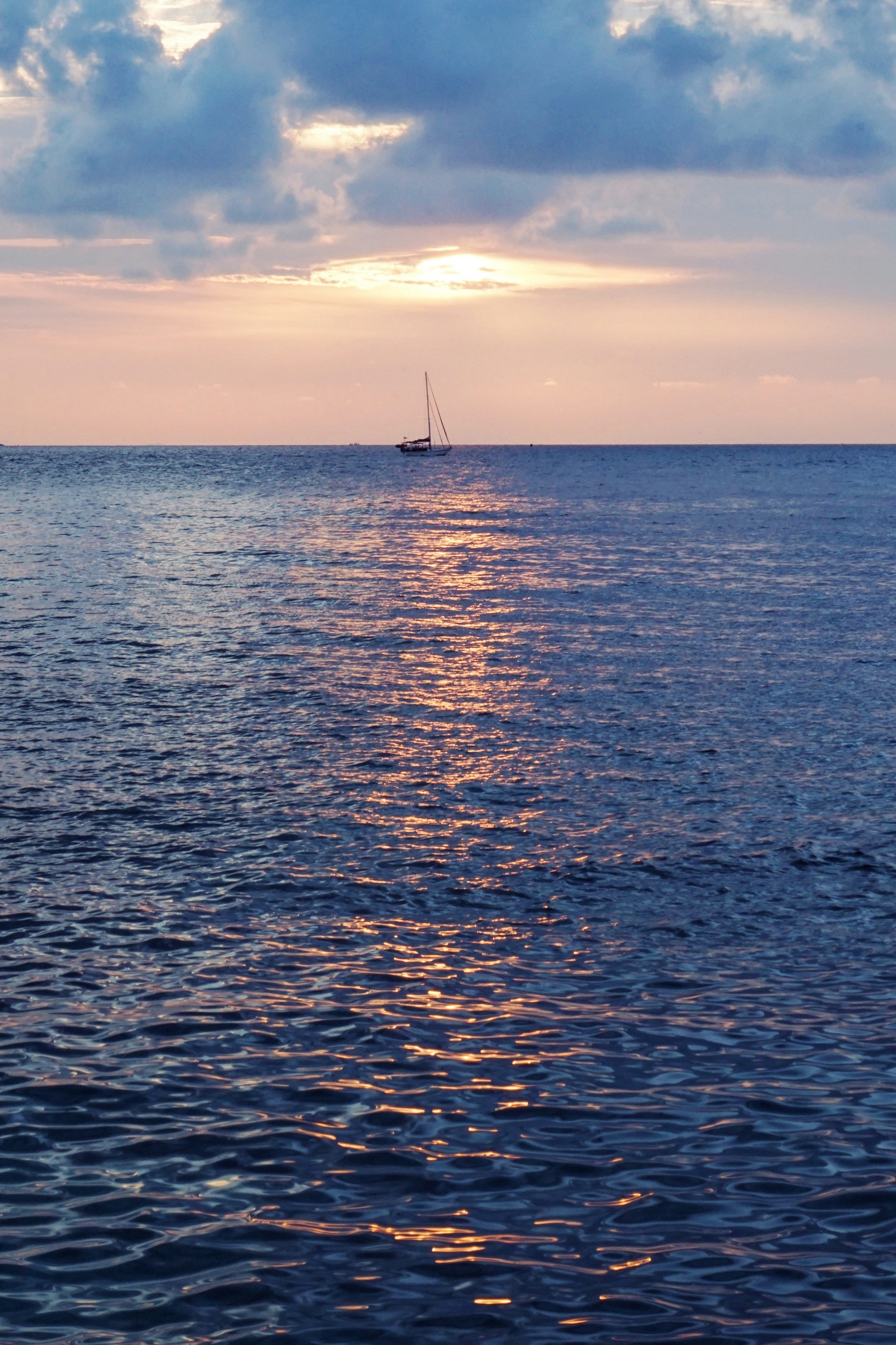 Free Unsplash photo from yajing zhai