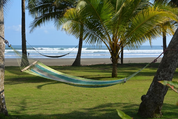 A tranquil scene of a hammock strung between two coconut trees.
