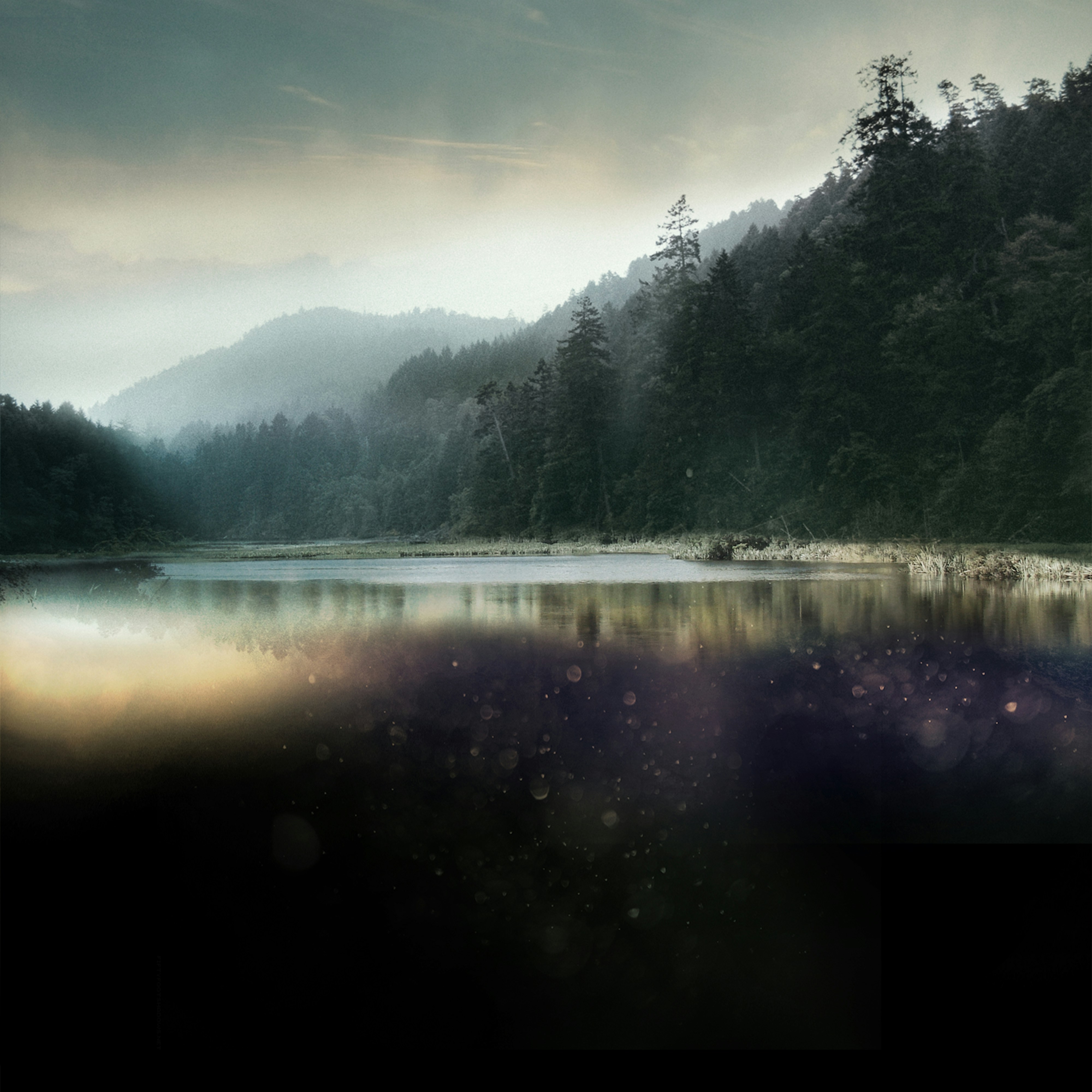 Free Unsplash photo from Dario Raijman