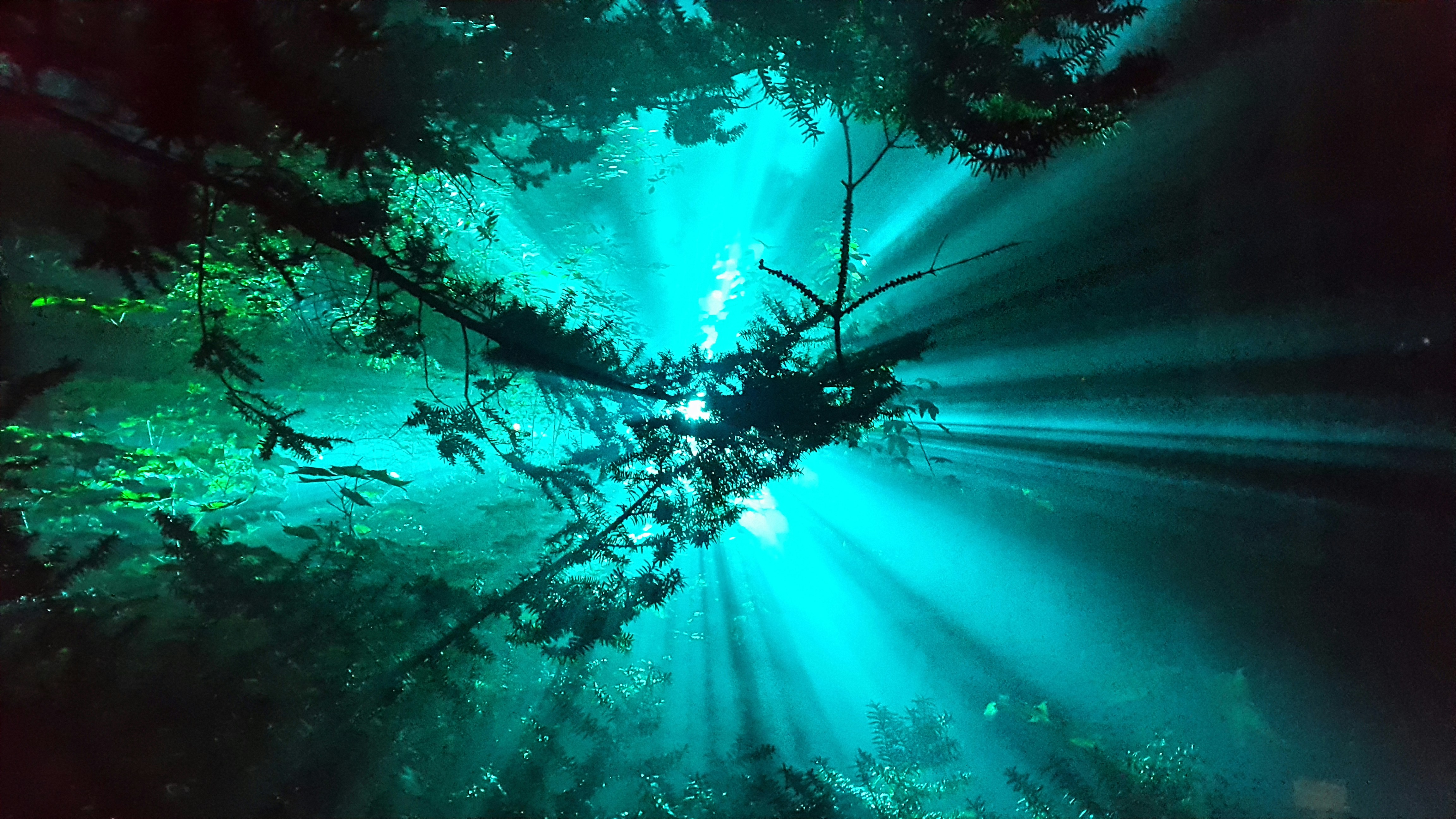 Free Unsplash photo from Ulrike Herrmann