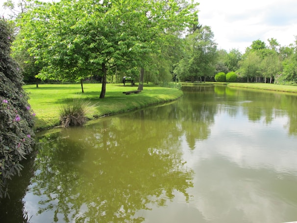 The serene pond reflecting the sky, bordered by native plants and wooden benches.