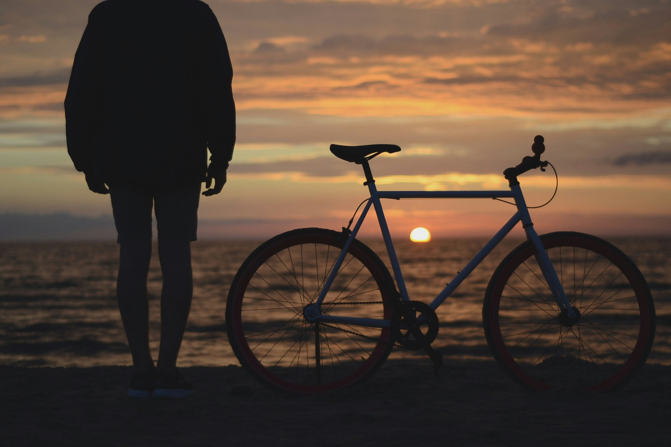 person and bicycle looking out at a sunset