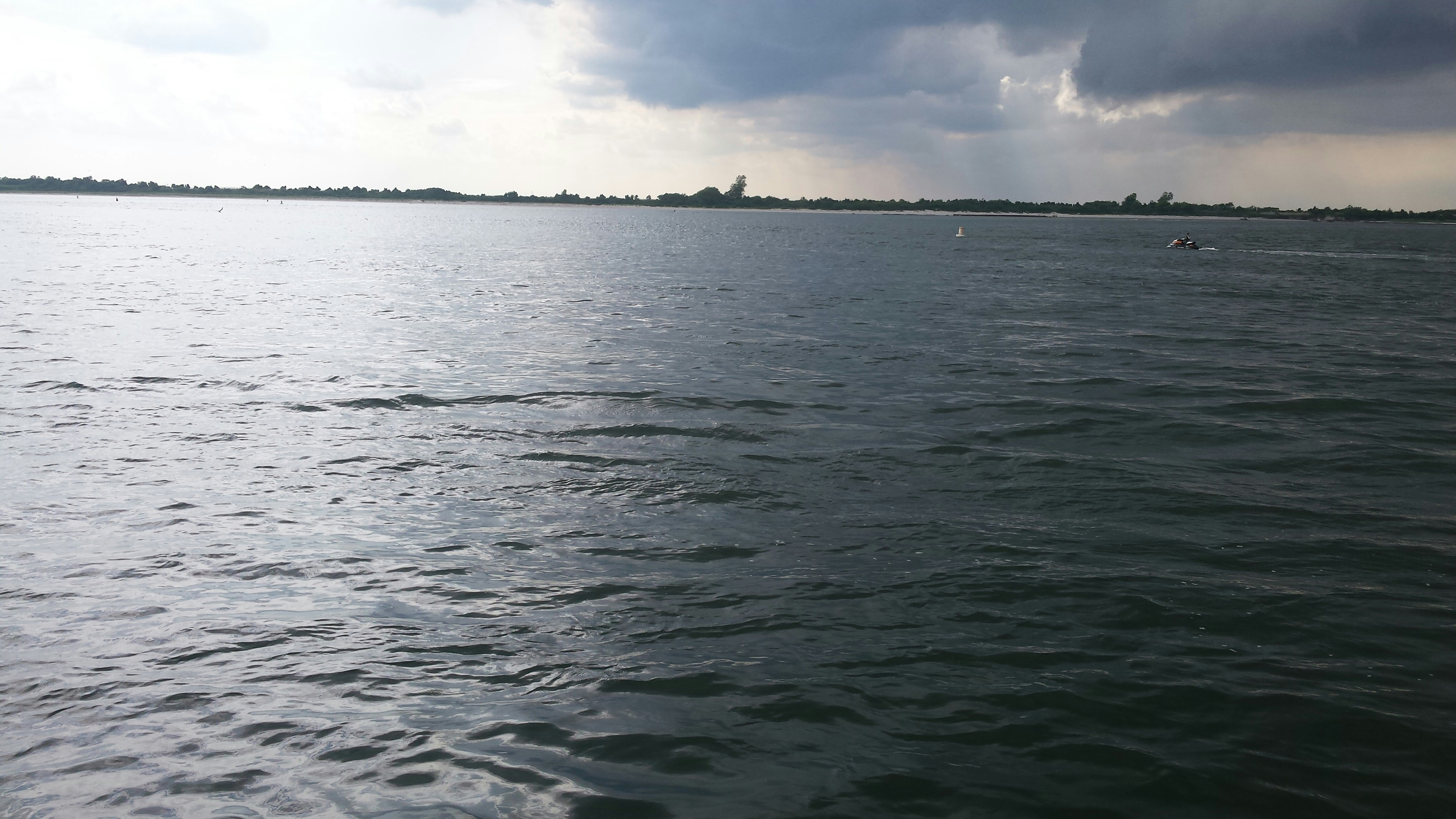 Free Unsplash photo from Pamela Ann