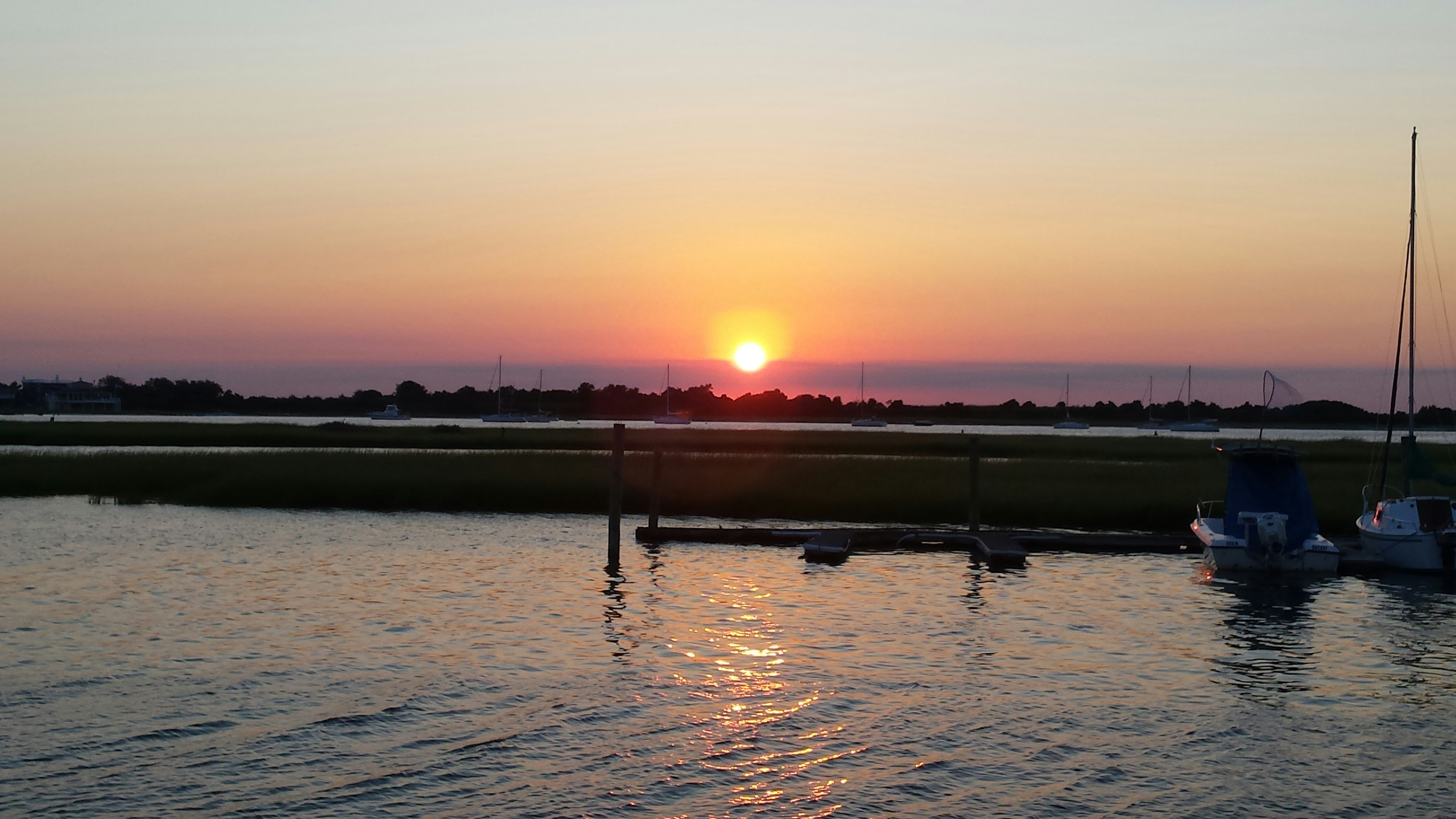 Free Unsplash photo from Pamela Ann