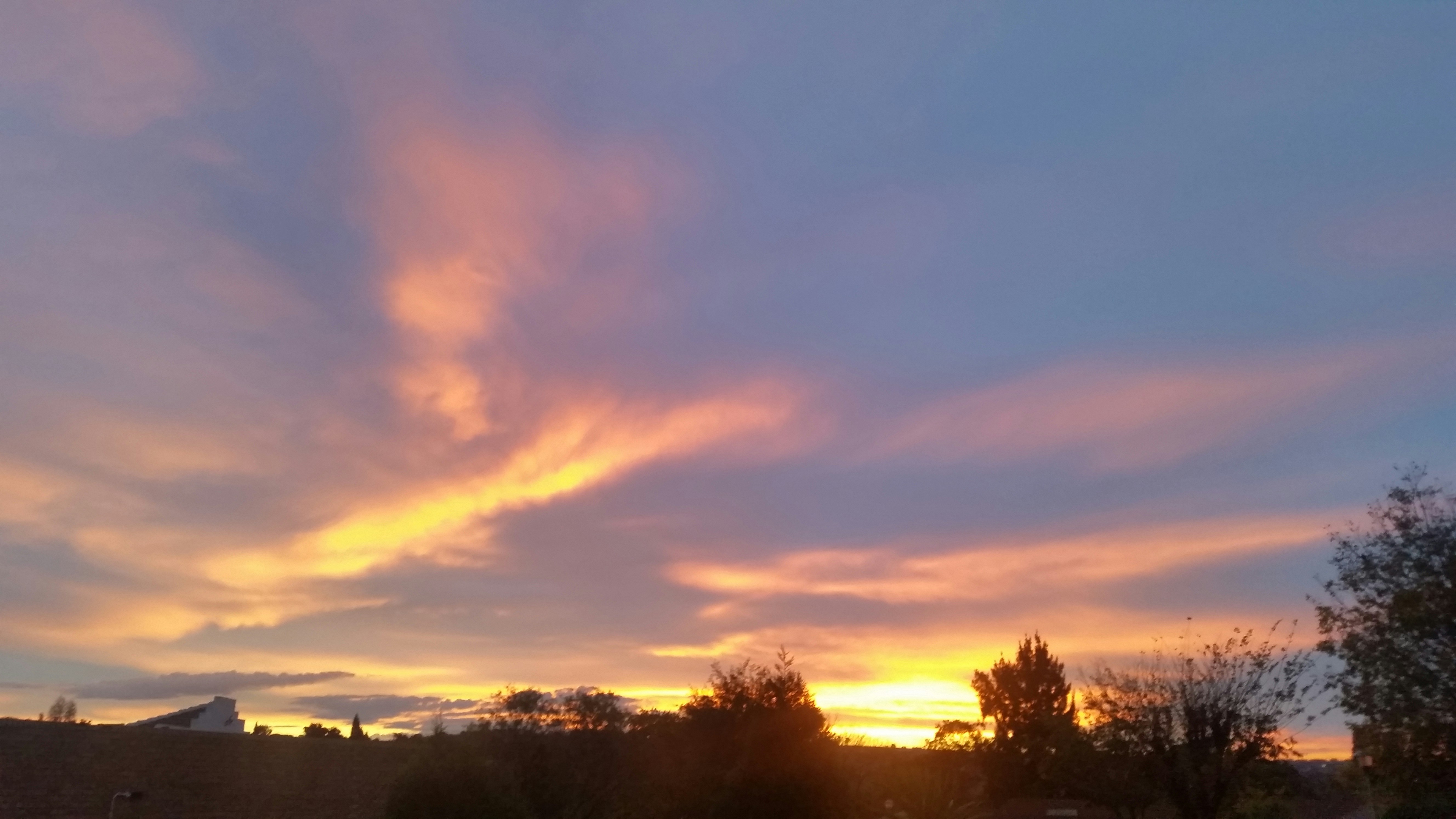 Free Unsplash photo from Shikash Algu