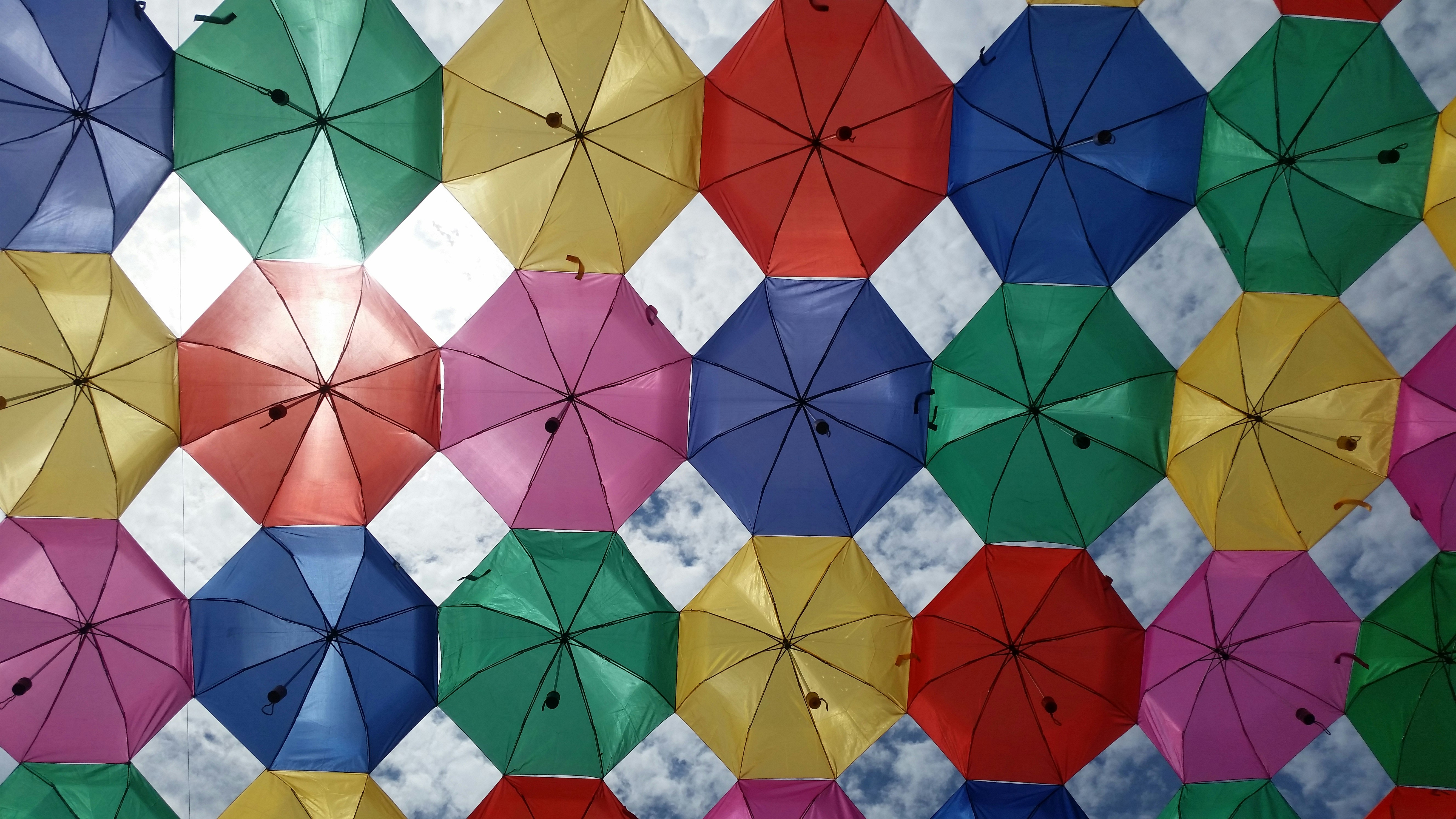 Free Unsplash photo from Shikash Algu