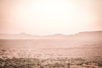 Close-up of a detailed game environment showcasing Texas-inspired landscapes.