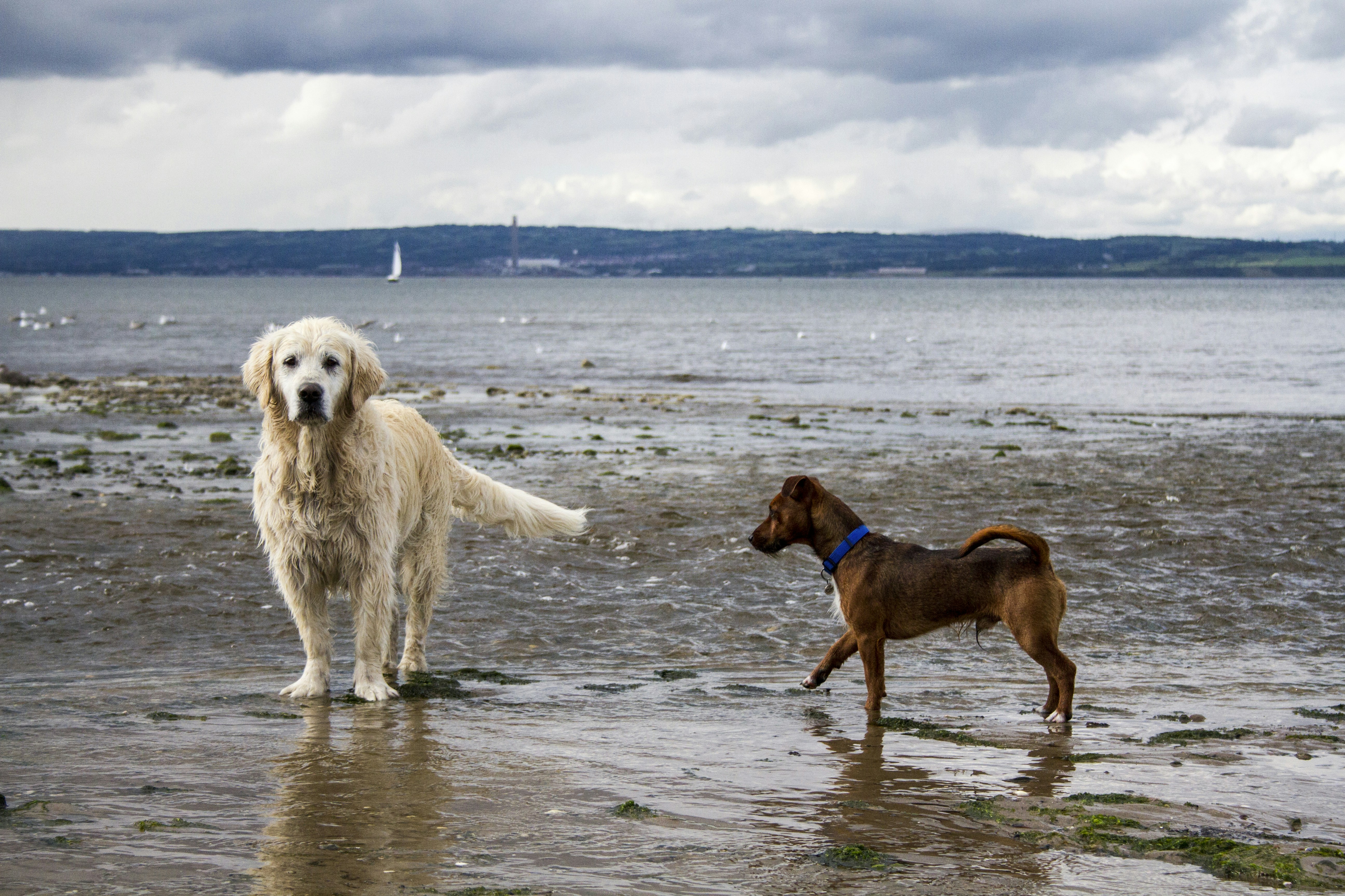 Free Unsplash photo from Philip Swinburn