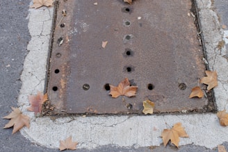 A rusted metal manhole cover surrounded by cracked pavement and scattered autumn leaves. The cover features evenly spaced holes, and the leaves exhibit shades of brown and orange.