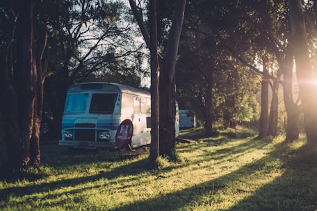 A cozy camper van parked in a scenic forest clearing during golden hour.