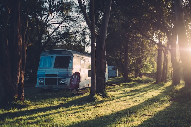 A cozy camper van parked in a scenic forest clearing at sunset.