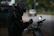Close-up of a rider adjusting their helmet with a sleek motorcycle in the background.