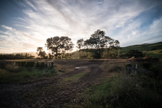 A serene landscape with a path leading towards a bright horizon, symbolizing hope and recovery.