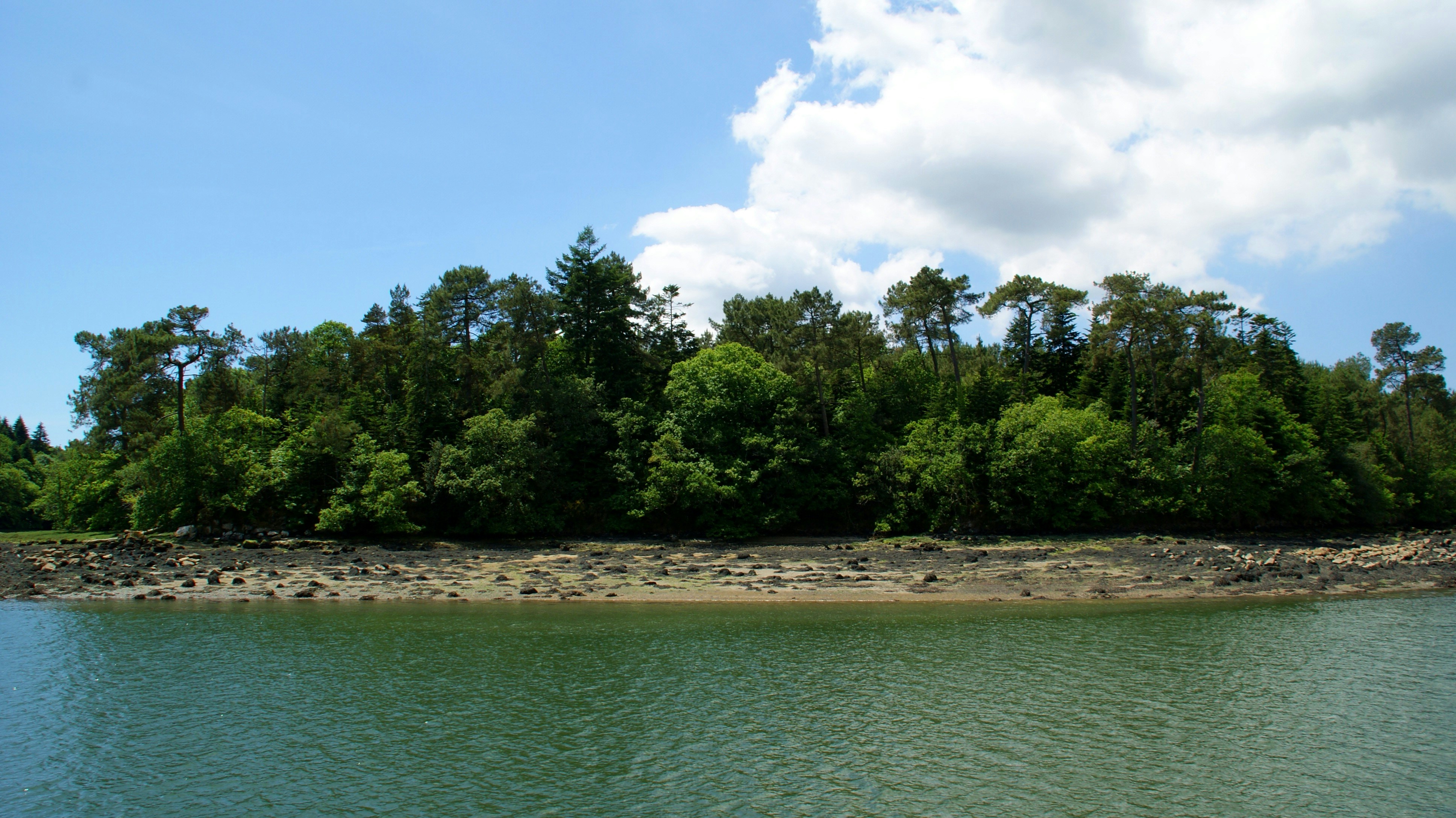 Free Unsplash photo from Gabriel LE NAOUR