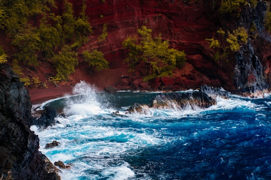 water stream surrounded with bushes in Red Sand Beach United States