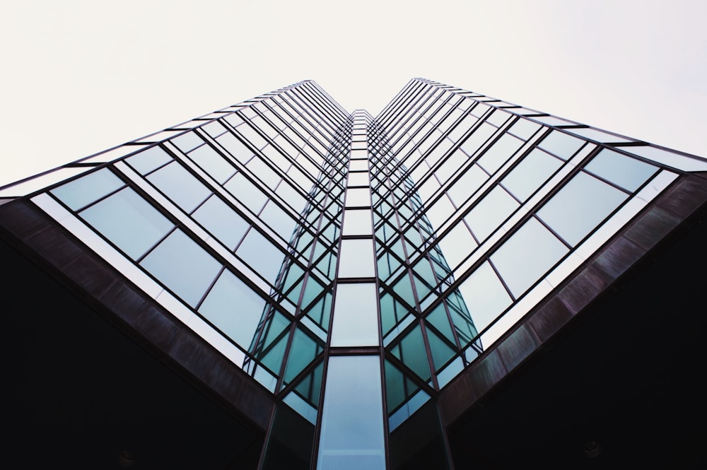 low-angle photography of curtain wall building
