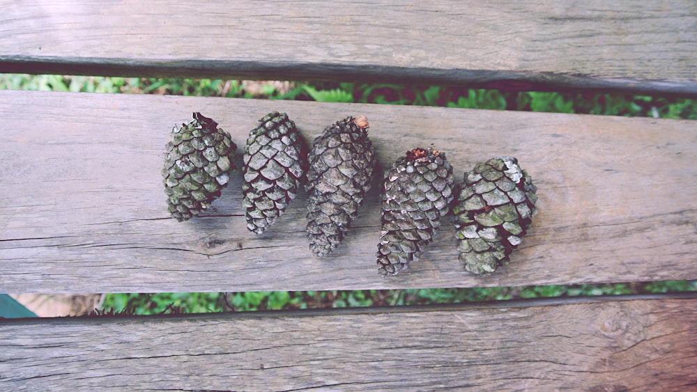 five seeds on top of beige wood