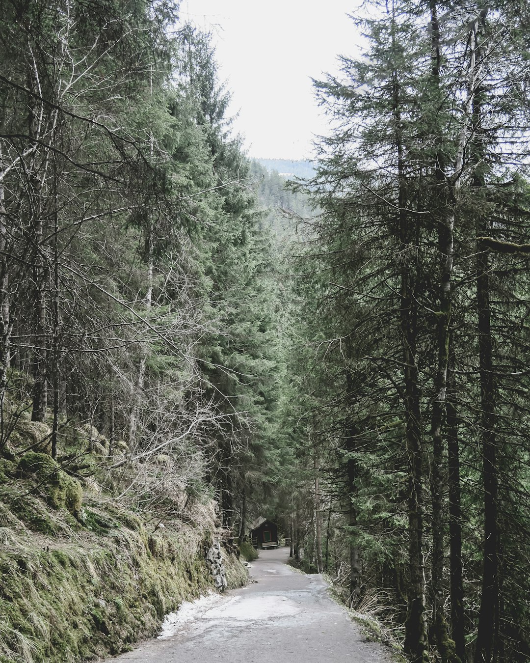 Natural landscape photo spot Krimml Waterfalls Tyrol