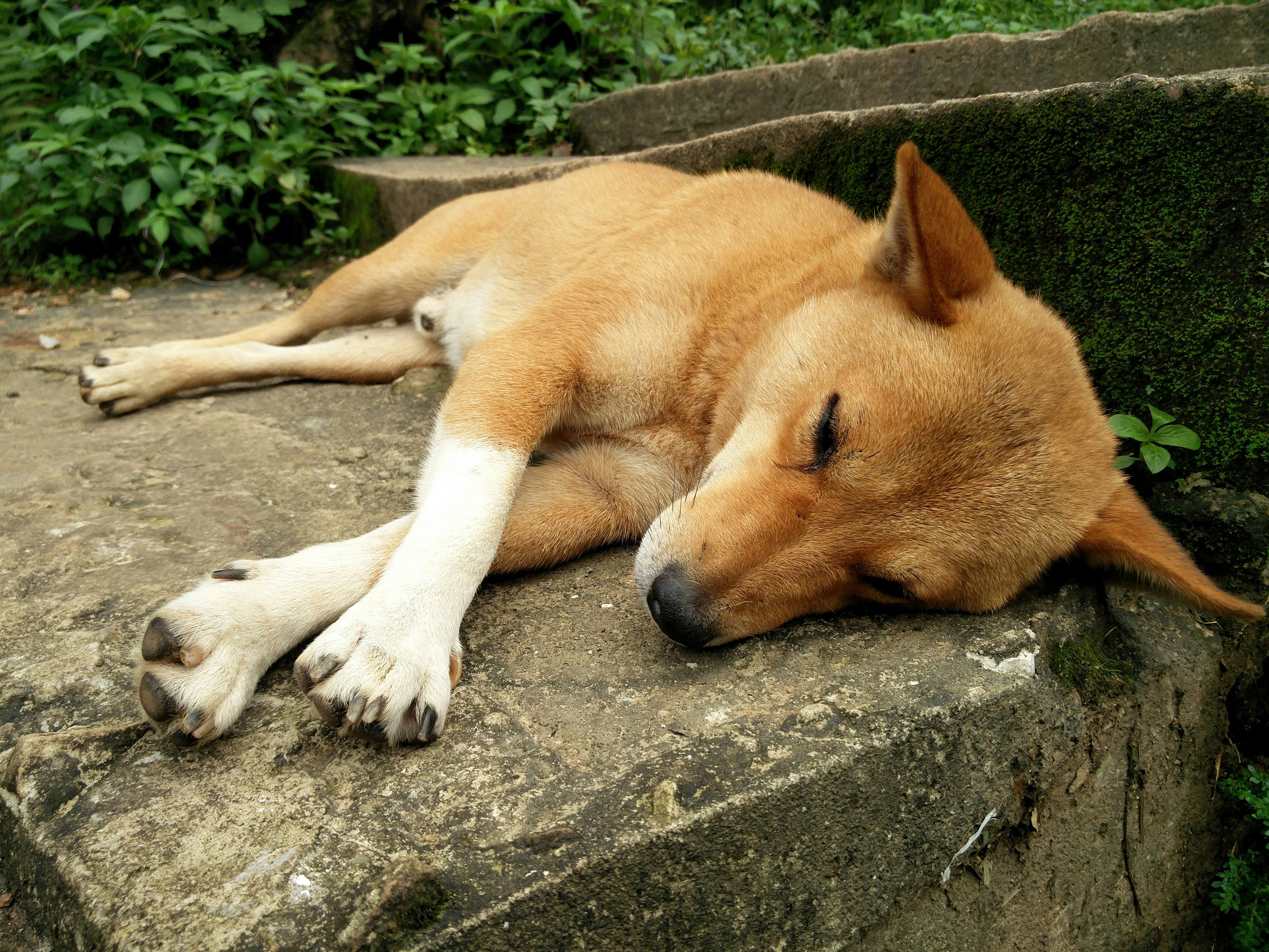 Free Unsplash photo from Rohan Tafti